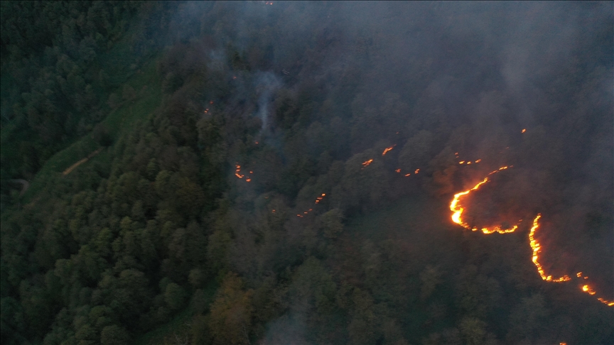 Artvin'de örtü yangınına müdahale ediliyor