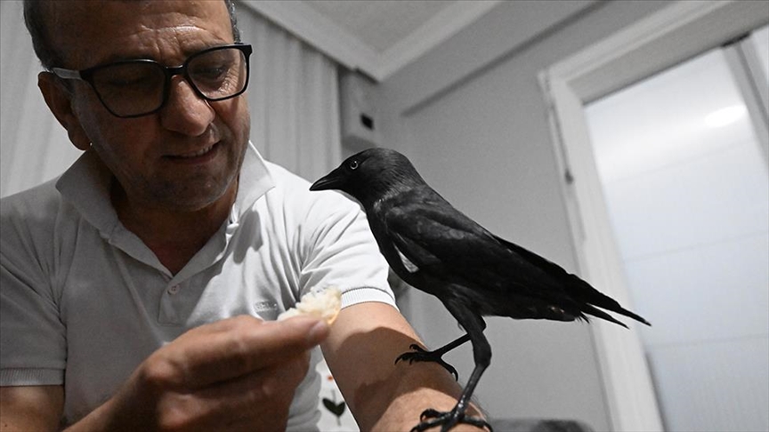 Ish rreshteri adopton sorrën e cila e shoqëron në çdo vend