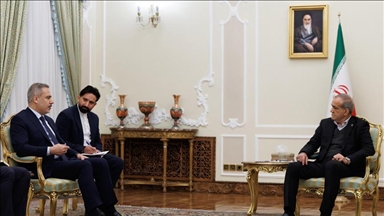 فيدان يلتقي بزشكيان في طهران