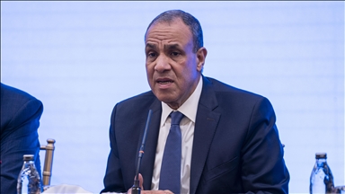 Egypt seeks joint roadmap with Pakistan for expanded cooperation