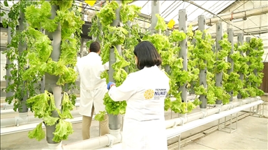 TENMAK, yiyeceklerin raf ömrünü uzatan gıda teknolojisi geliştiriyor