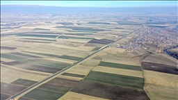 Hasadın tamamlandığı Kars Ovası'ndaki tarlalar "halı desenini" andırıyor