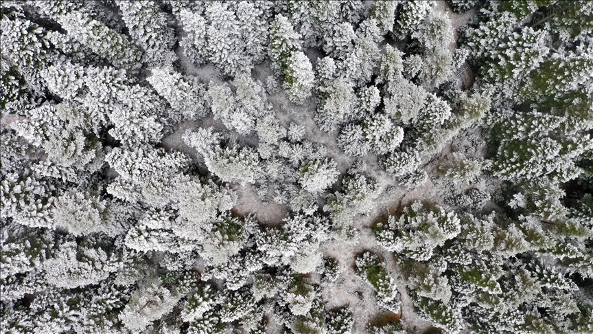 Li Çiyayê Ilgazê berf barî û mij çêbû