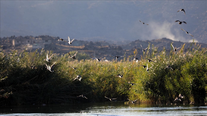 Aras Kuş Cenneti'nde 2025'te 11 bin 298 kuş halkalandı
