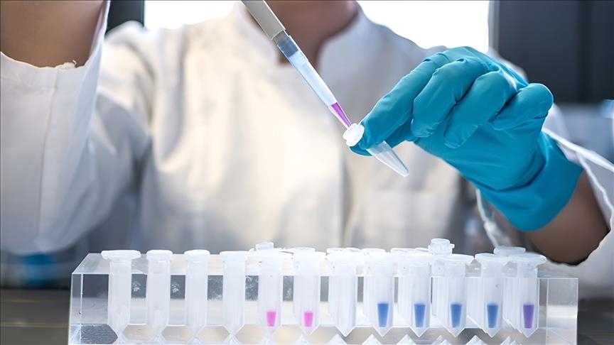 ВОЗ: в 2024 году 1,3 миллиона человек заболели СПИДом