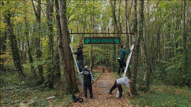 Ormanda sincaplar için köprü yaptılar