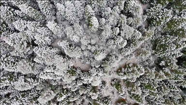 Li Çiyayê Ilgazê berf barî û mij çêbû