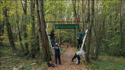 Ormanda sincaplar için köprü yaptılar