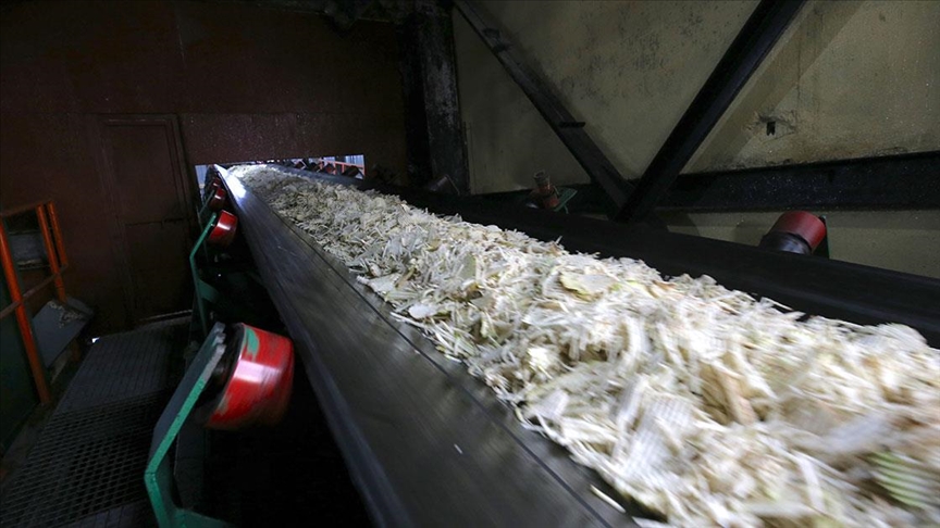 Muş ve Van'daki fabrikalarda 76 bin 10 ton şeker üretimi hedefleniyor