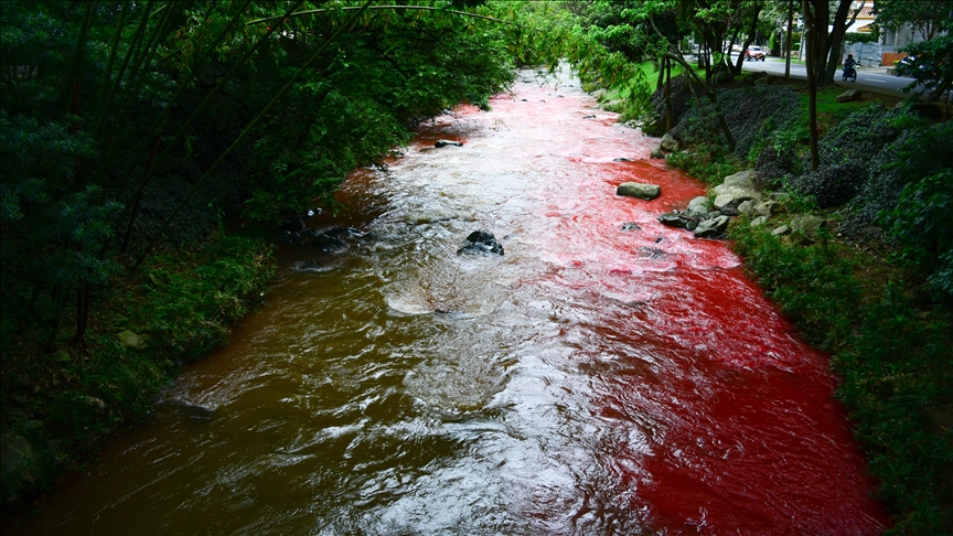 Union Européenne : Plus de 180 000 décès prématurés liés à la pollution atmosphérique en 2023, selon l'AEE