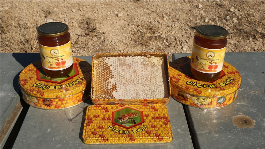 Li Adiyemanê vê heyamê nêzî 650 tonî hingiv hat hilberîn