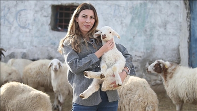 İstanbul'dan köyüne dönüp hayvancılığa başlayan kadın 3 yılda sürüsünü 4'e katladı