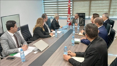 مجموعة تركية تبحث في تونس فرص الاستثمار والشراكة بزيت الزيتون 