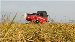 Tarım sigortaları kapsamında kasımda üreticilere 4,2 milyar lira hasar tazminatı ödendi