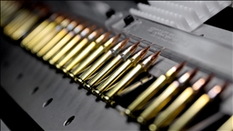 El Ejército de Alemania confirma el robo de 20.000 cartuchos de diferentes calibres en la ciudad de Burg bei Magdeburg