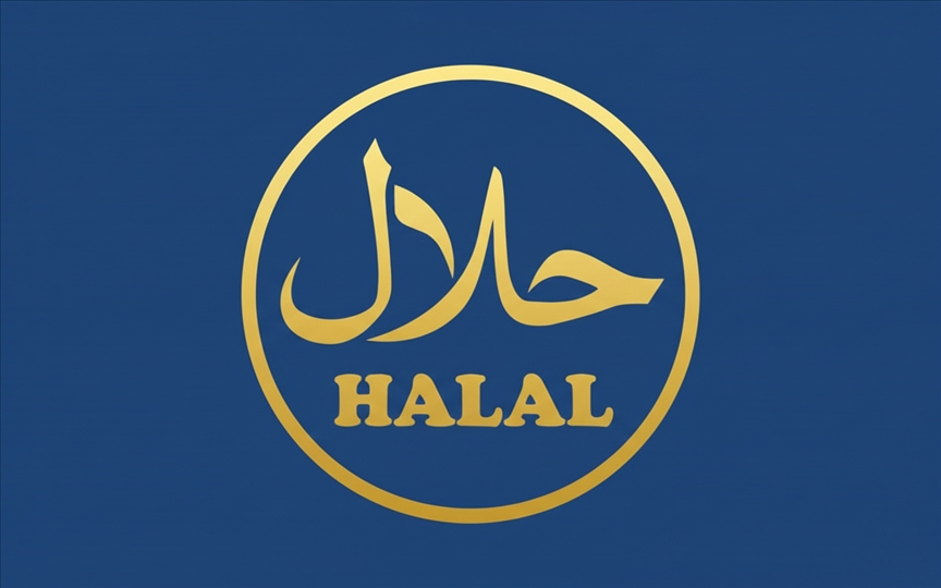 France / Roubaix : des accusations d'agression sur une journaliste italienne dans une boucherie halal démenties