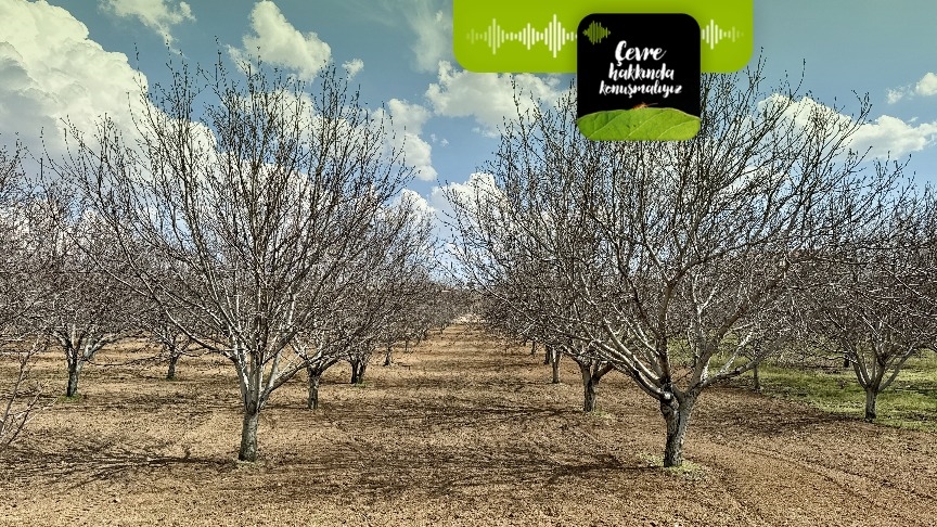 İklim krizi tarımımızı bu yıl nasıl etkiledi?