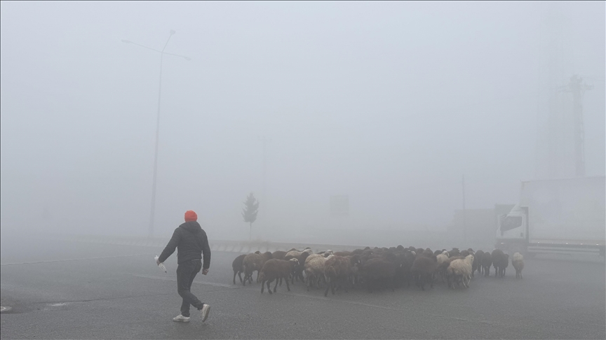 Li Îdirê mij û moraneke zêde çêbû
