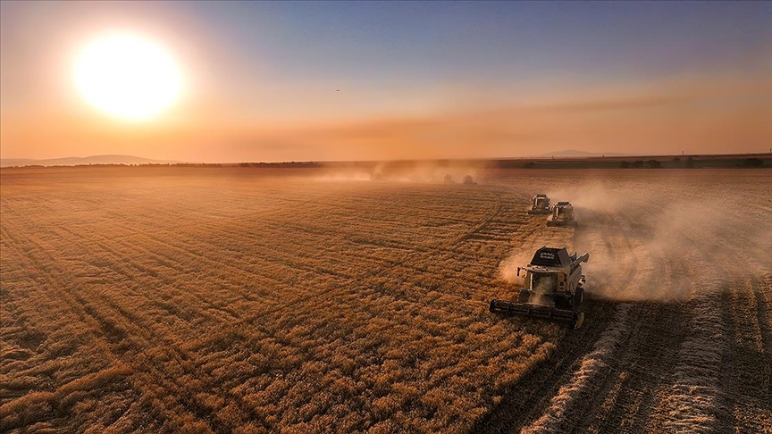 Üreticilere IPARD-III Programı kapsamında kasım döneminde 376,8 milyon lira ödendi