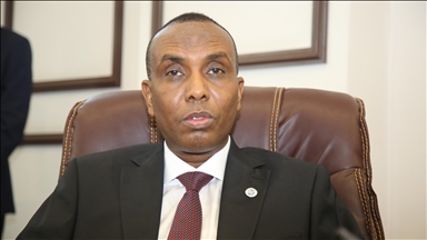 Somali premier dismisses Trump’s derogatory remarks on his country, Somali migrants