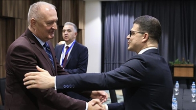 Helez se sastao s Venguom: Mir i stabilnost u regiji zajednički interes BiH i Albanije