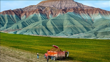 Li Nallihanê rakirina gizêran