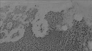 Tamamen kuruyan Seyfe Gölü Kuş Cenneti sessizliğe büründü