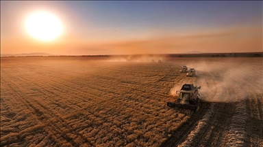 Üreticilere IPARD-III Programı kapsamında kasım döneminde 376,8 milyon lira ödendi