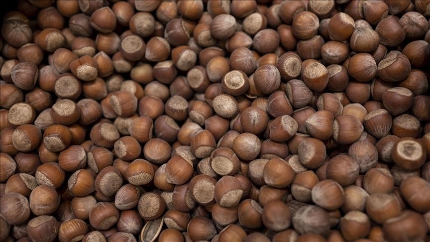 درآمد بیش از 547 میلیون دلاری ترکیه از صادرات فندق