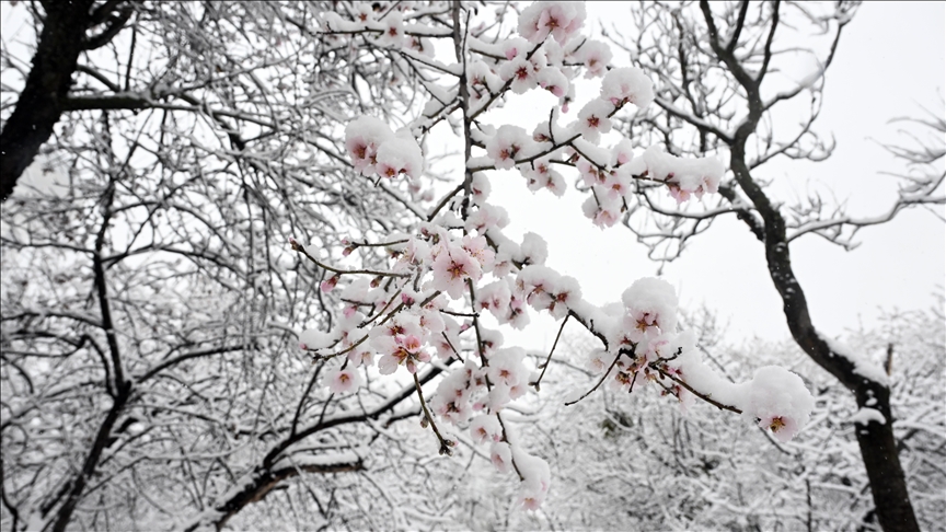 WMO forecasts 55% chance of weak La Nina in coming months