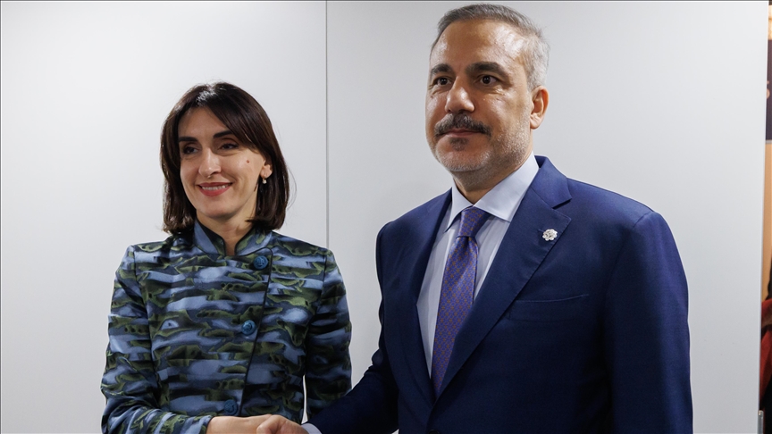 دیدار وزرای امور خارجه ترکیه و گرجستان در وین 