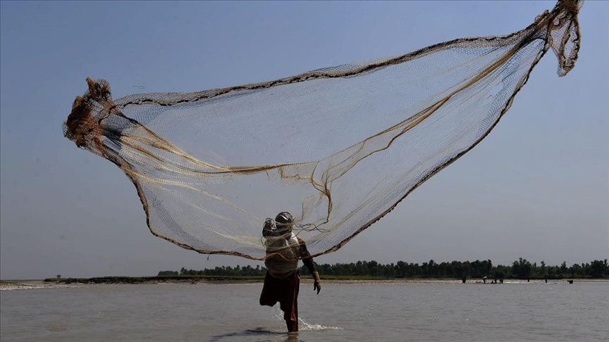 Massive floods give new lease on life to Pakistan’s decaying Indus Delta