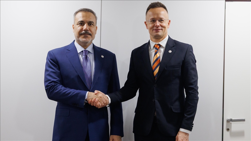 دیدار وزرای امور خارجه ترکیه و مجارستان در وین