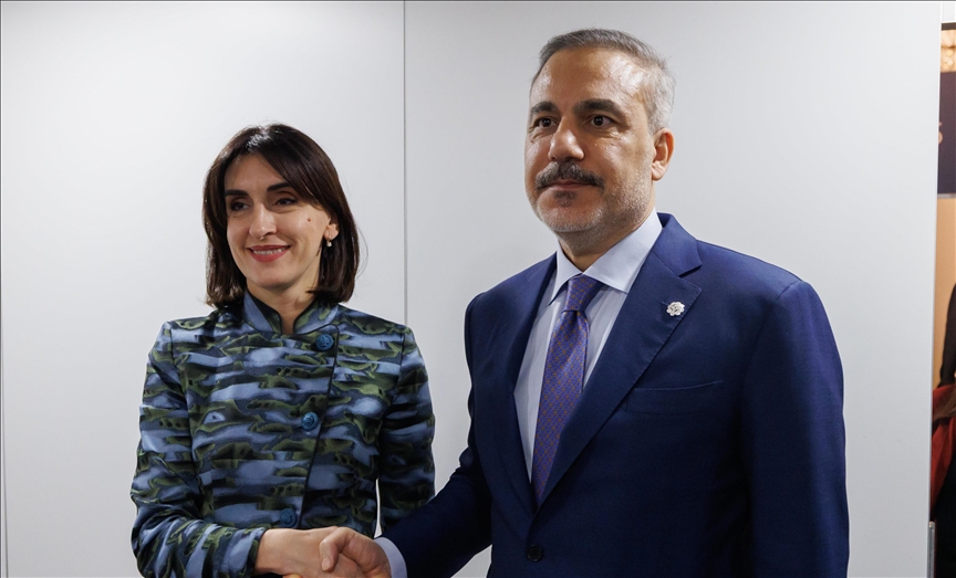فيدان يلتقي وزيرة خارجية جورجيا في فيينا
