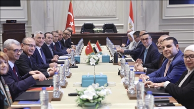 تفاهم تركي مصري لتشغيل خط "رورو" لدعم التجارة الثنائية