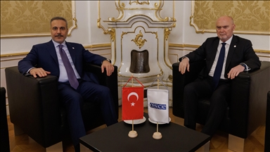 دیدار فیدان با دبیرکل سازمان امنیت و همکاری اروپا در وین