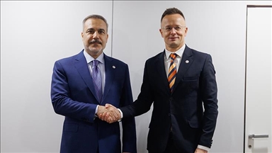 وزير الخارجية التركي يلتقي نظيره المجري في فيينا