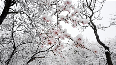 WMO forecasts 55% chance of weak La Nina in coming months