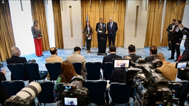 رئيس وفد مجلس الأمن: زيارتنا إلى سوريا لدعم وحدتها وسلامة أراضيها