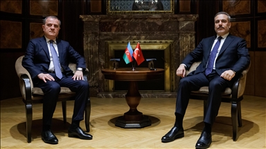 دیدار وزرای خارجه ترکیه و آذربایجان در وین