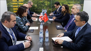 Wezîrê Karên Derva Fidan bi hemtayê xwe yê Gurcî Botchorishvili ra hat cem hev