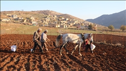 Li Batmanê çandiniya sîrên mehîna ya tescîldar destpê kir