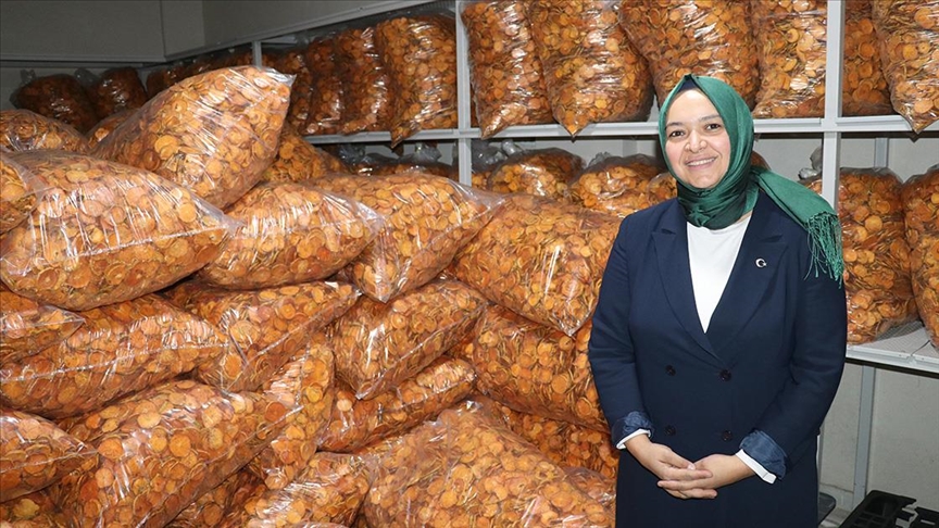 Devlet desteğiyle Trabzon hurması cipsi üreten kadın girişimci, istihdam ve kapasitesini artırdı