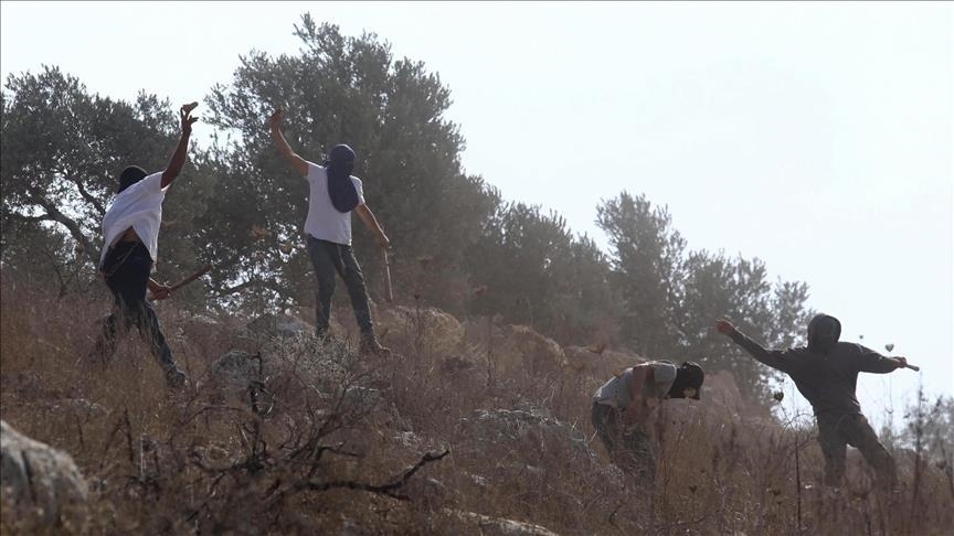 "أوتشا": تضاعف إصابات الفلسطينيين بالضفة على يد المستوطنين عام 2025