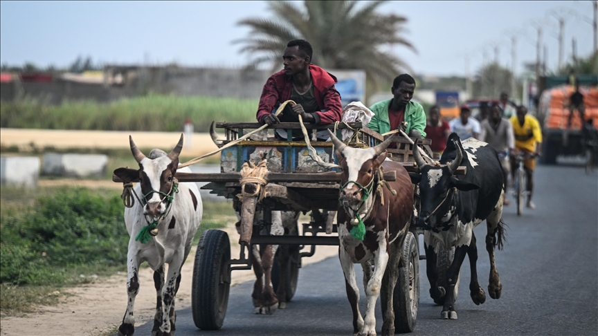 UN humanitarian office warns of deepening protection crisis as over 100,000 displaced in northern Mozambique