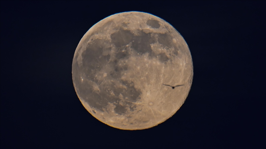  Superhëna e ftohtë  ngrihet mbi New York  Mexico City dhe Gaza