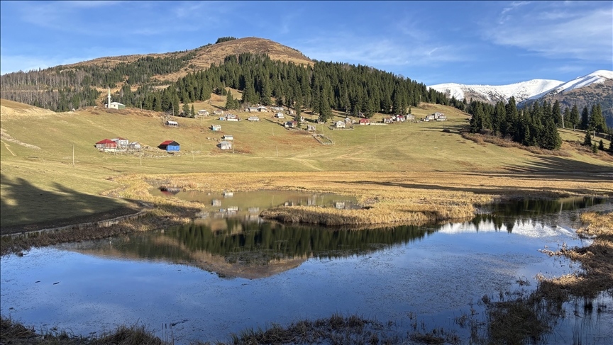 هضبة "غولياني".. وجهة سياحية وادعة في الشمال التركي