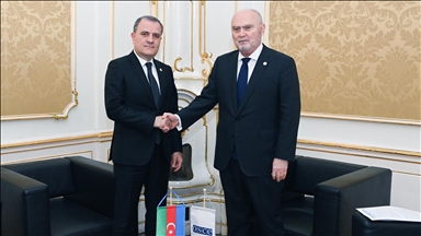 Глава МИД Азербайджана и генсек ОБСЕ обсудили вопросы безопасности