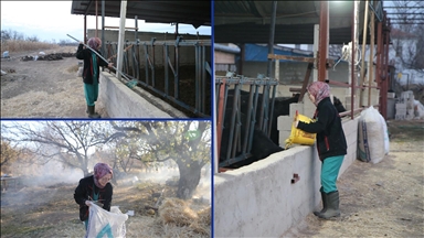 Genç kadın veteriner devlet desteğiyle hayvancılığa başladı