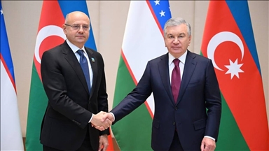 В Ташкенте рассмотрены вопросы углубления узбекско-азербайджанских отношений